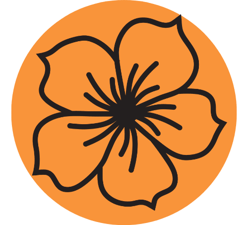 haittavaikutukset.com logo